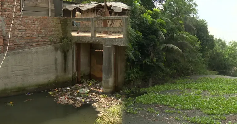 নাটোরের খালের চিত্র